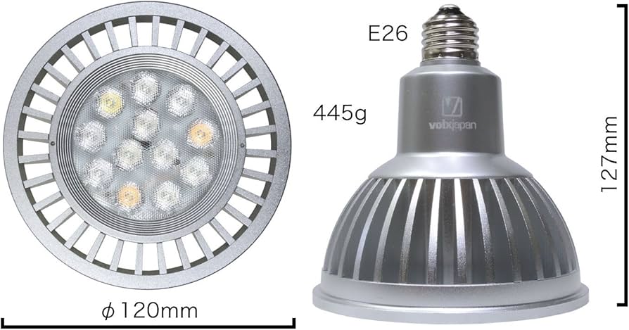 Amazon | ボルクスジャパン GrassyLeDio(グラッシーレディオ) RX122