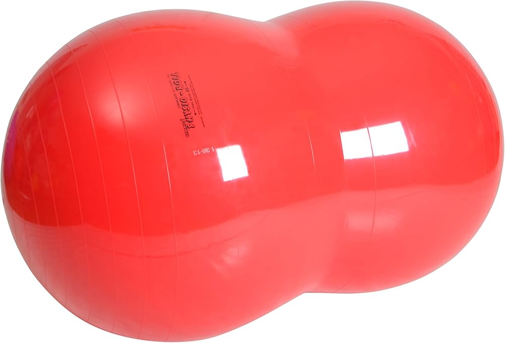 Amazon | ギムニク(GYMNIC) フィジオロール 85 赤 LP8804 イタリア製