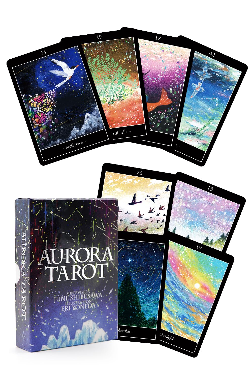 Amazon.co.jp: 【Liisha】 ジューン澁澤 監修 オリジナル タロット