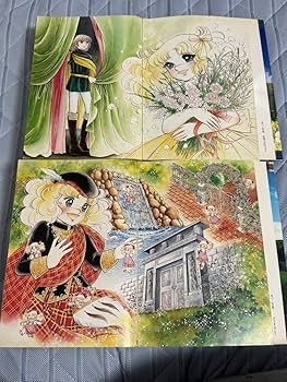 Amazon.co.jp: 絶版キャンディキャンディ 愛蔵版 全2巻セット