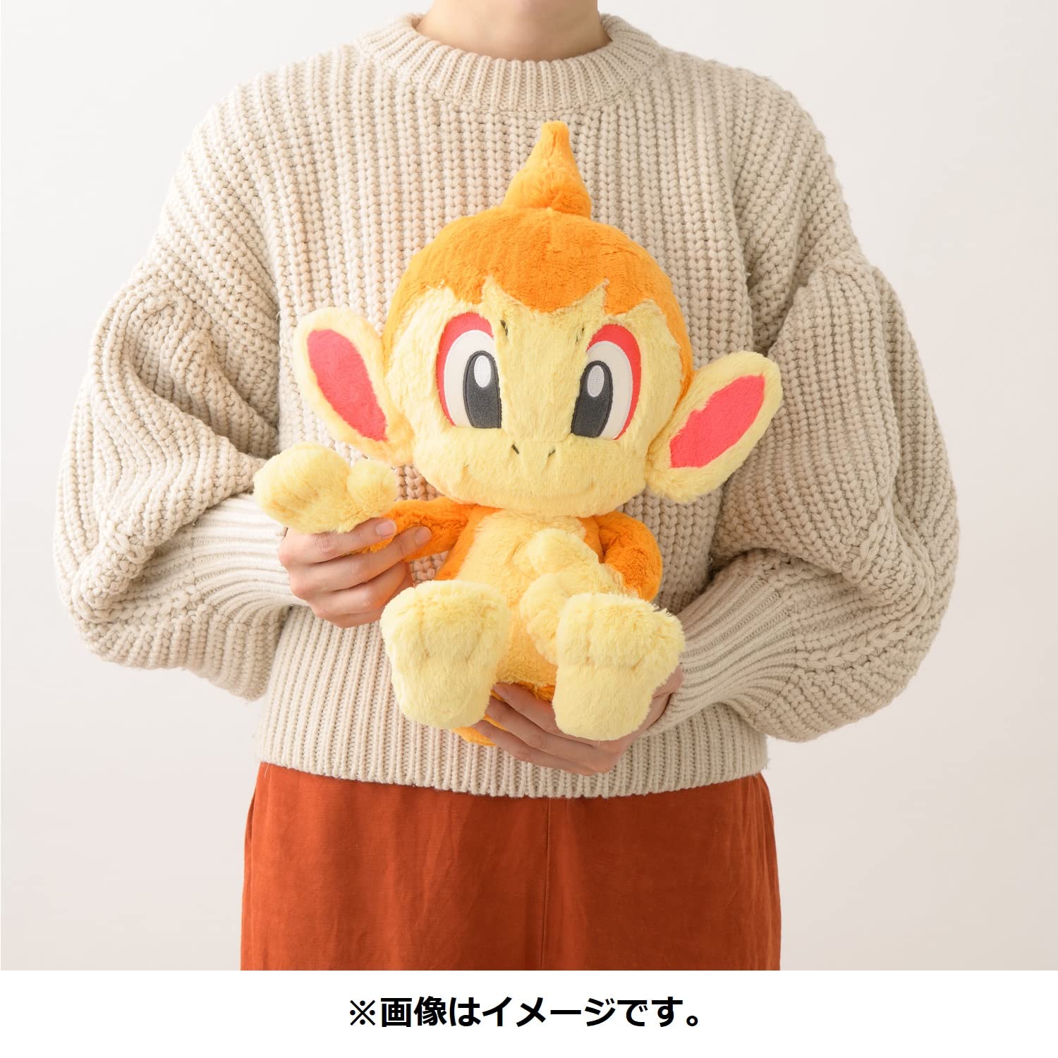 Amazon.co.jp: ポケモンセンターオリジナル ふわふわ抱きぬいぐるみ