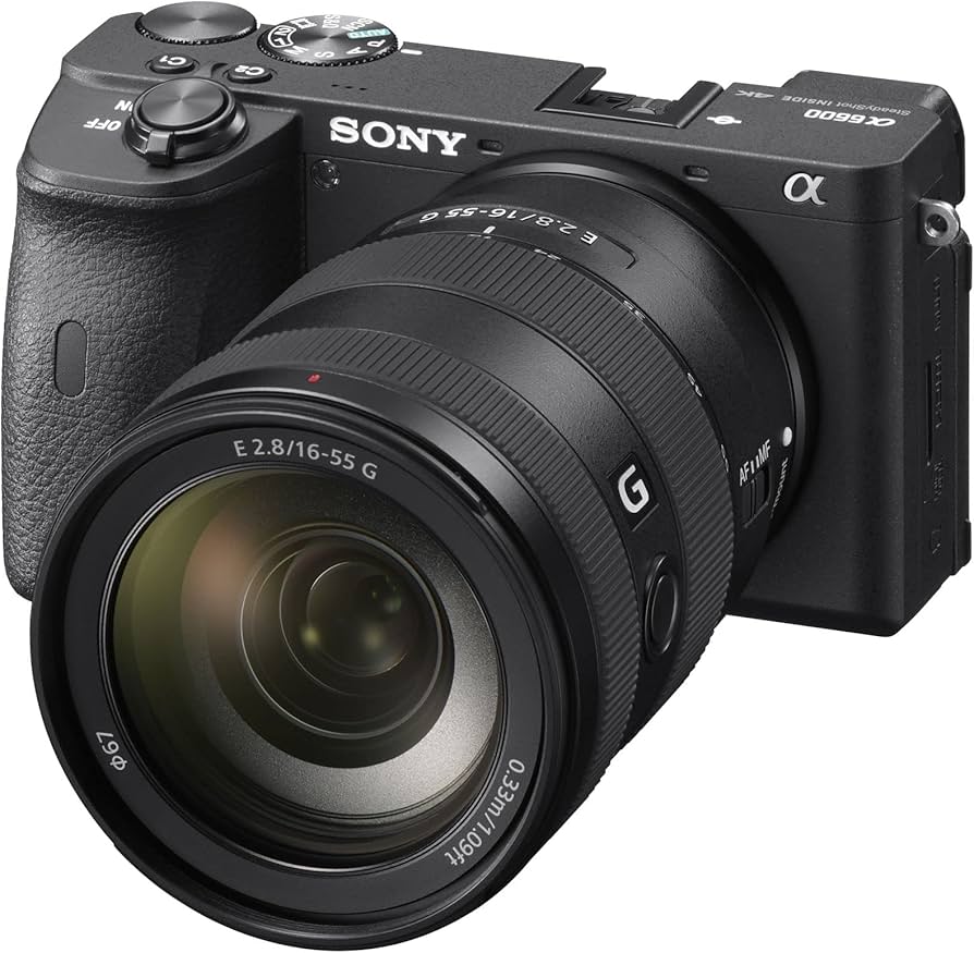 Amazon.com : Sony SEL1655G E-Mount Compact and High-Resolution APS