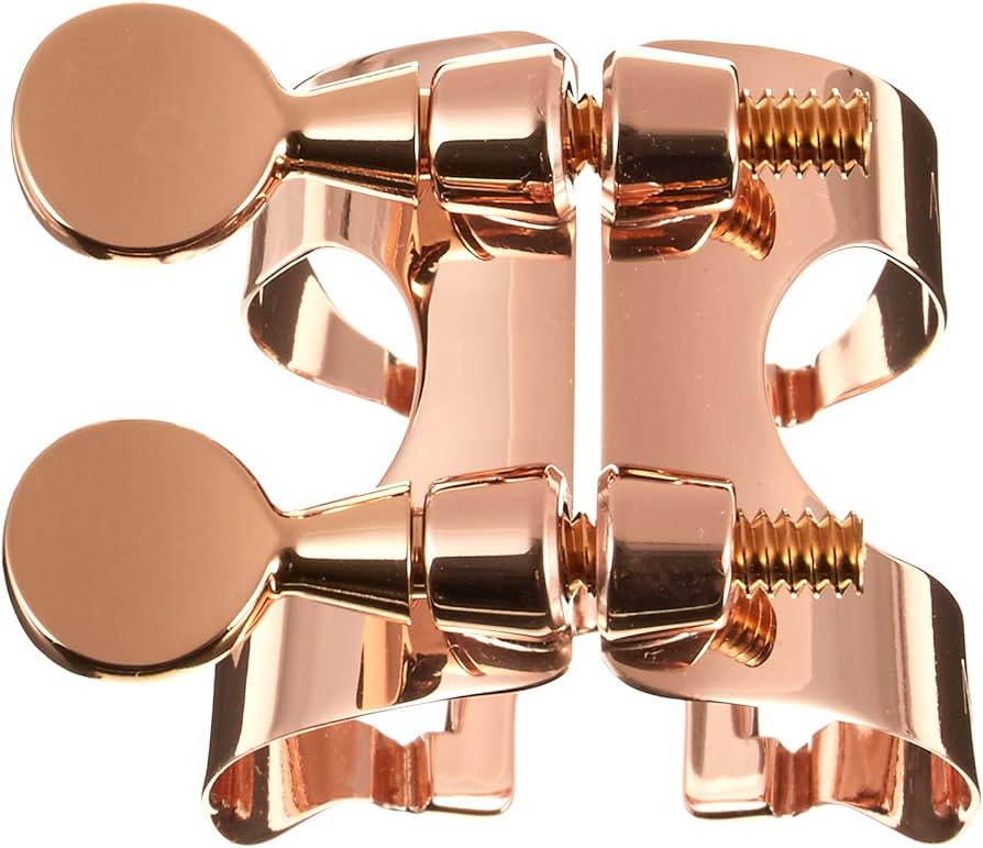 Amazon.co.jp: Harrison Hurtz ハリソン・ハーツ アルトサクソフォン用