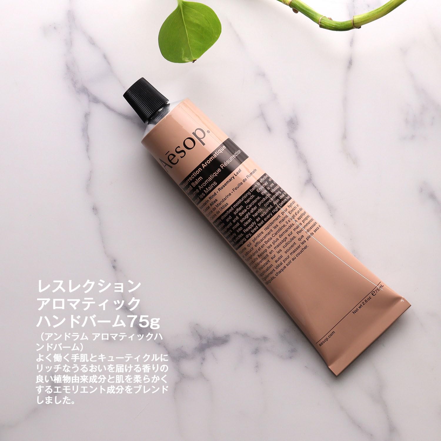 Amazon.co.jp: [ラッピング済み] Aesop イソップ ギフト セット