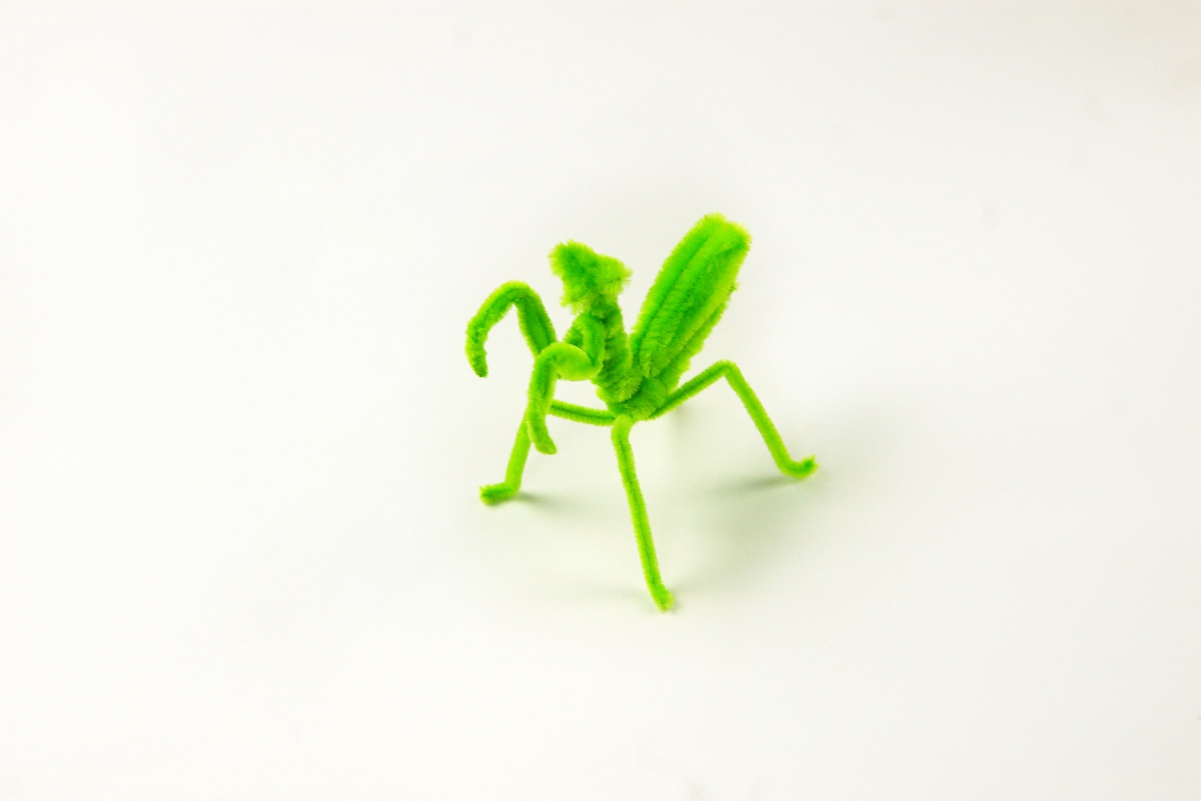 Amazon.co.jp: 創&遊 モールアートインセクト カマキリ MK-500-25