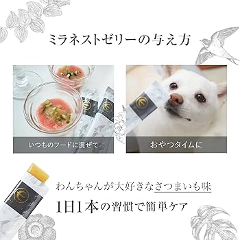 Amazon.co.jp: MIRANEST 犬用 ゼリー サプリメント‐ ミラネストゼリー