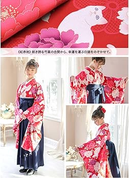 Amazon | [キャサリンコテージ]卒業式 卒園式 着付け 簡単 刺繍入り袴