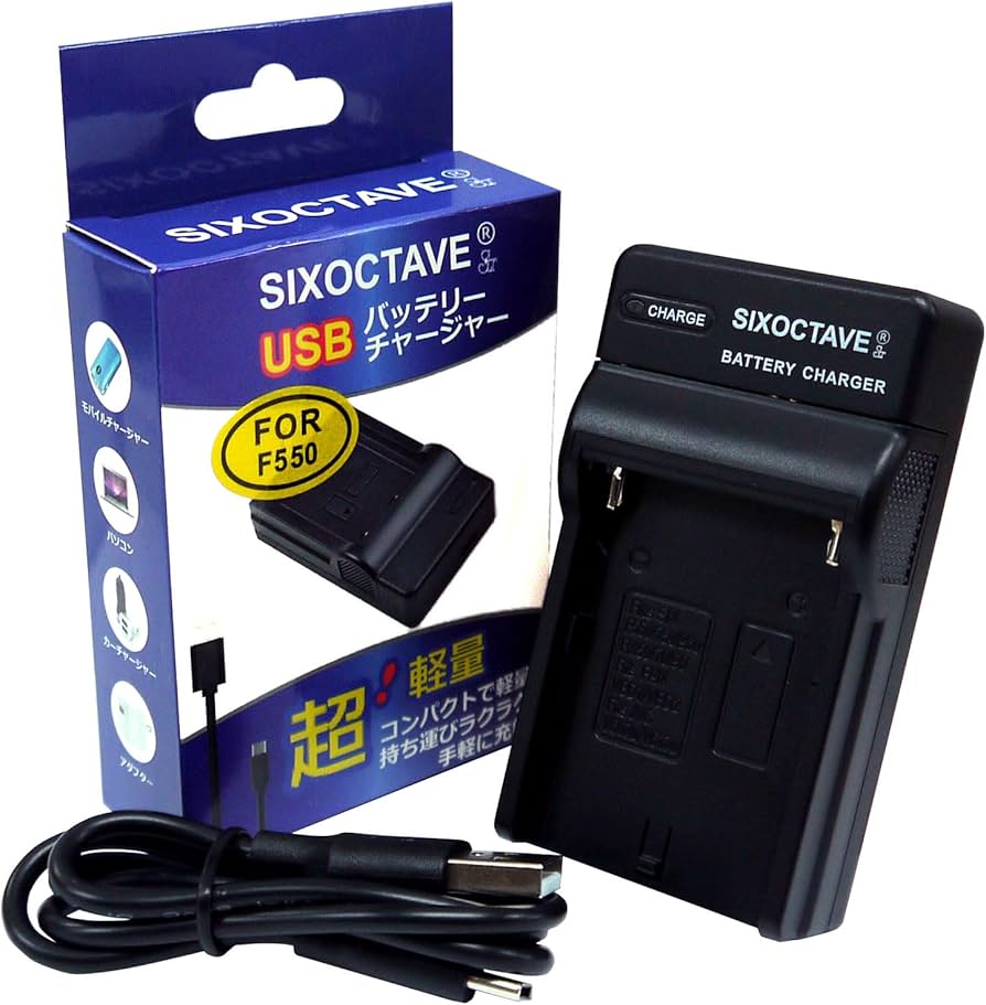 SONY HDR-CX590 デジタルビデオカメラ バッテリー・充電器・収納袋付