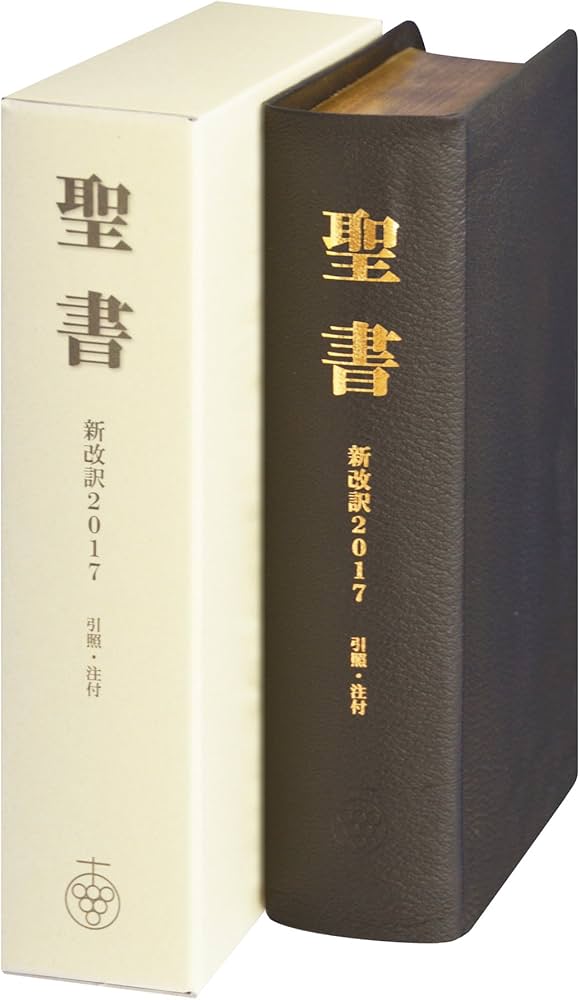 聖書 新改訳2017 中型スタンダード版 引照・注付 NBIK-20 (いのちの