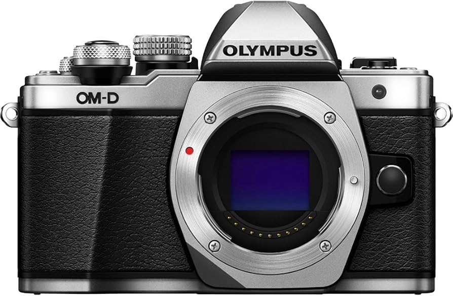 Amazon.com : OM SYSTEM Olympus OM-D E-M10 Mark II Mirrorless