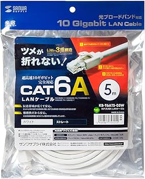 Amazon.co.jp: サンワサプライ CAT6A LANケーブル (5m) 10Gbps/500MHz