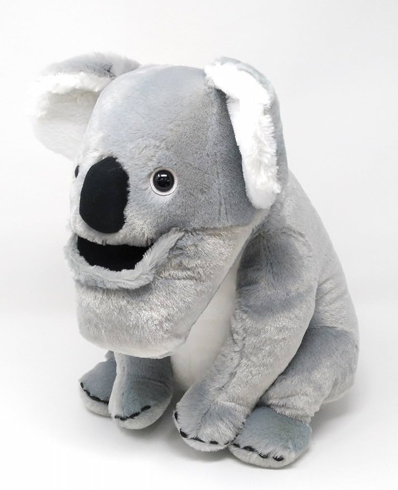 Amazon.co.jp: シャクレルプラネット コアラ BIG 40cm ぬいぐるみ