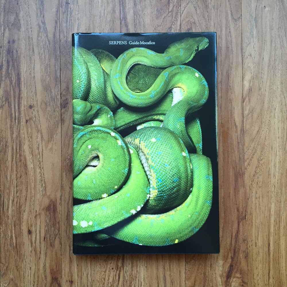 Guido Mocafico: Serpens: Goy, Jacqueline, Remy, Patrick, Mocafico