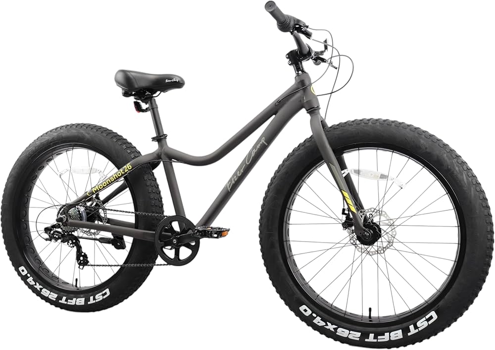 Amazon | アイゼルキャンプ(Eizer Camp) ビーチクルーザー 【ファット