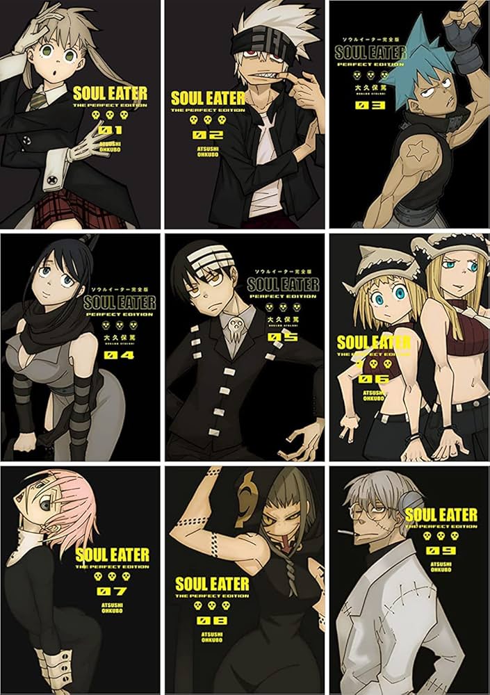 SOUL EATER THE PERFECT EDITION 全11巻 「英語」 Soul Eater Perfect