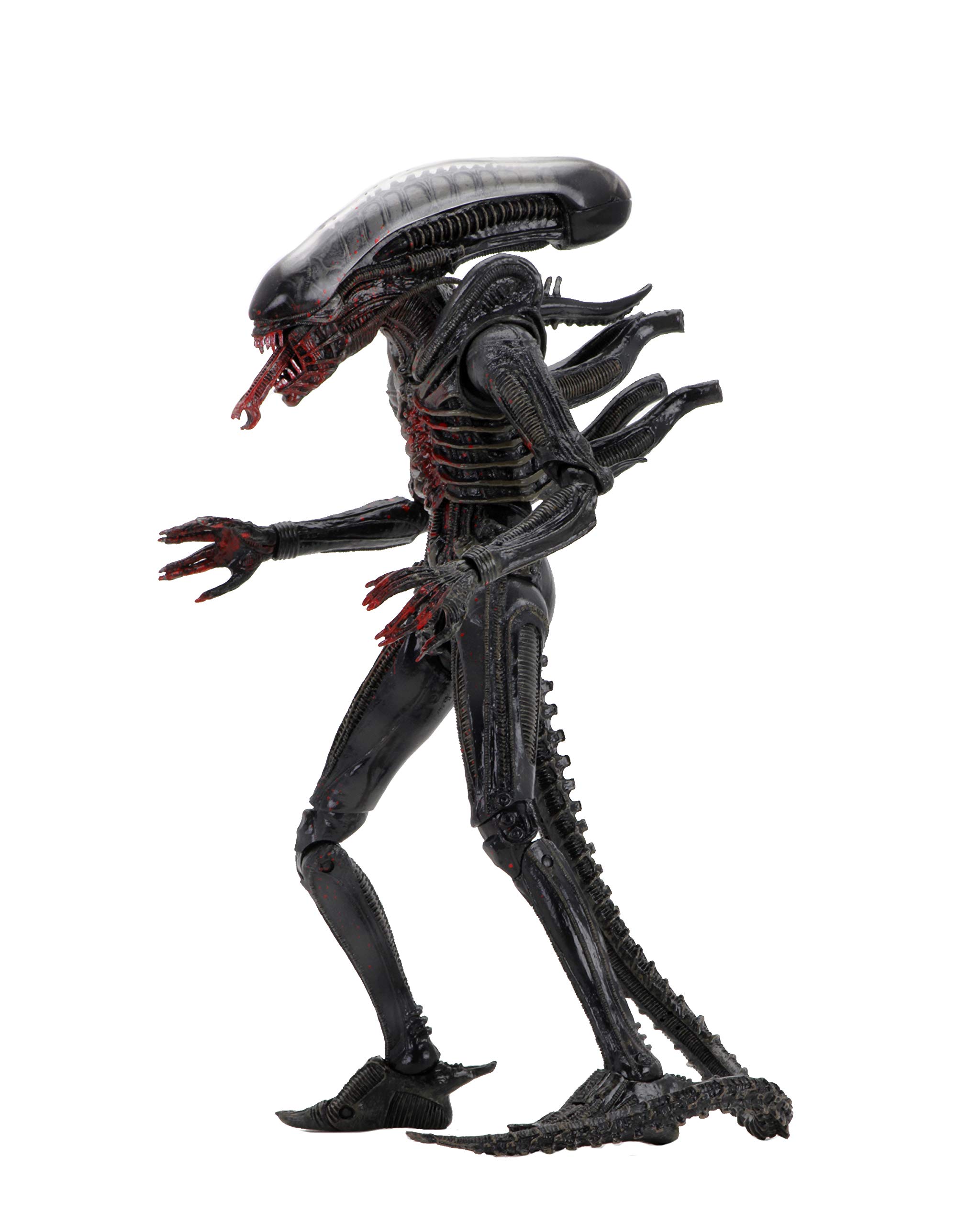 Amazon.com: NECA Alien – 7” Scale Action Figure – 40th Anniversary