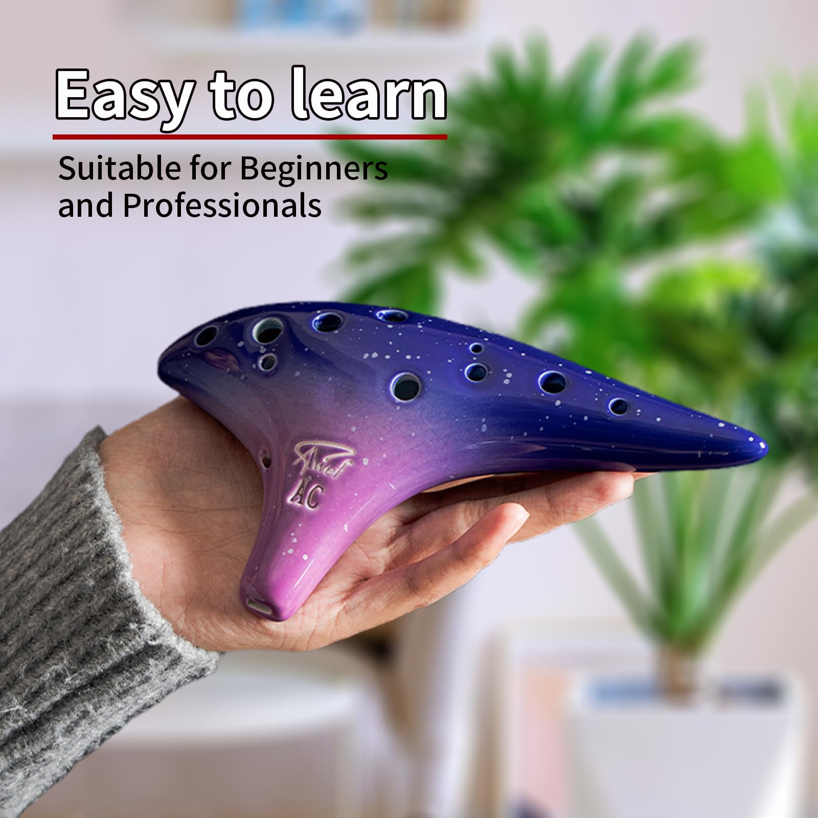 pieta okarina EXcellent ⅴG pieta okarina EXcellent ⅴG Pieta