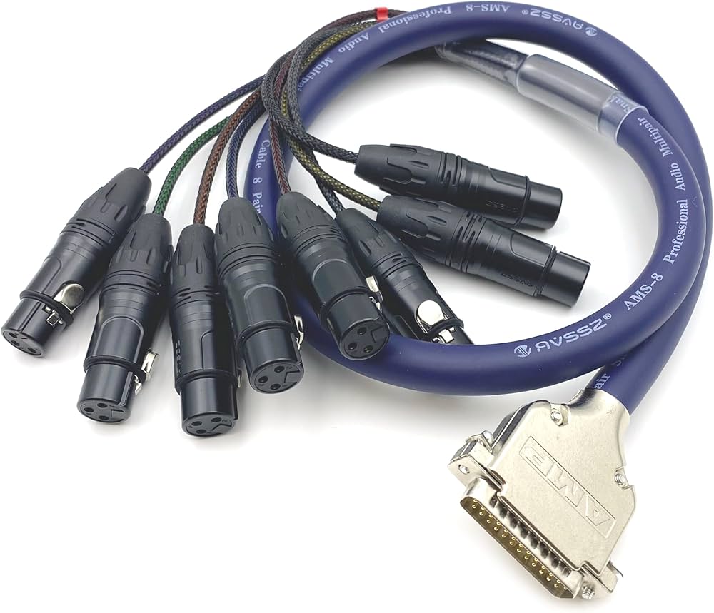 Amazon.com: 3.28ft DB25 Male to XLR Female Snake Cable, DB25 Male