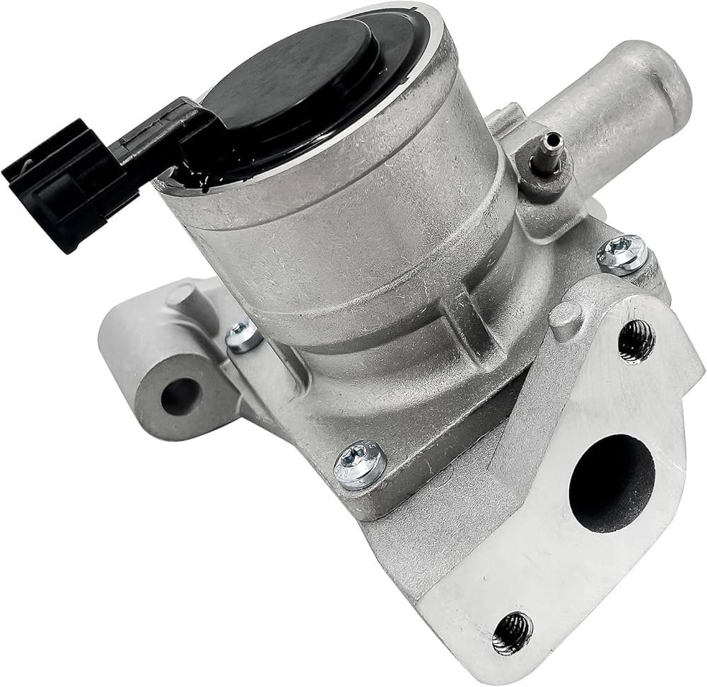 71RG188dcbL._AC_UF1000,