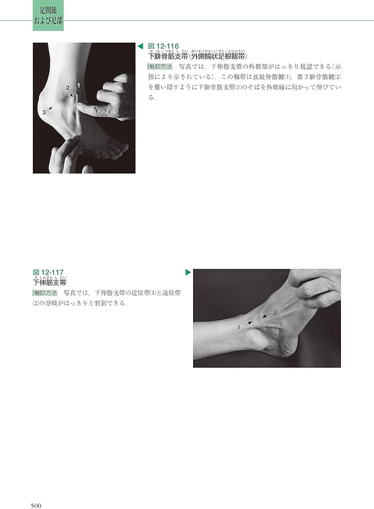 触診解剖アトラス 第3版 | 奈良 勲 |本 | 通販 | Amazon