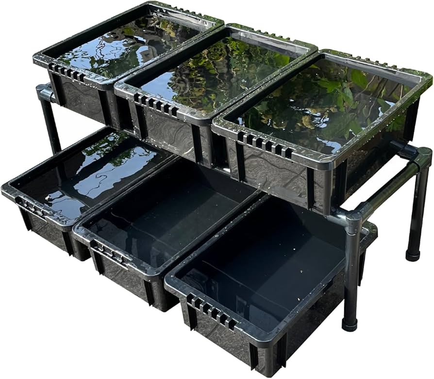 Amazon | おひさまめだか メダカ飼育ラック (黒, 1段6個置き