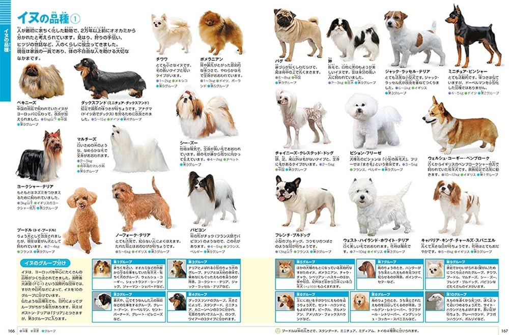 DVD付 新版 動物 (小学館の図鑑 NEO) | 三浦 慎悟, 成島 悦雄, 伊澤