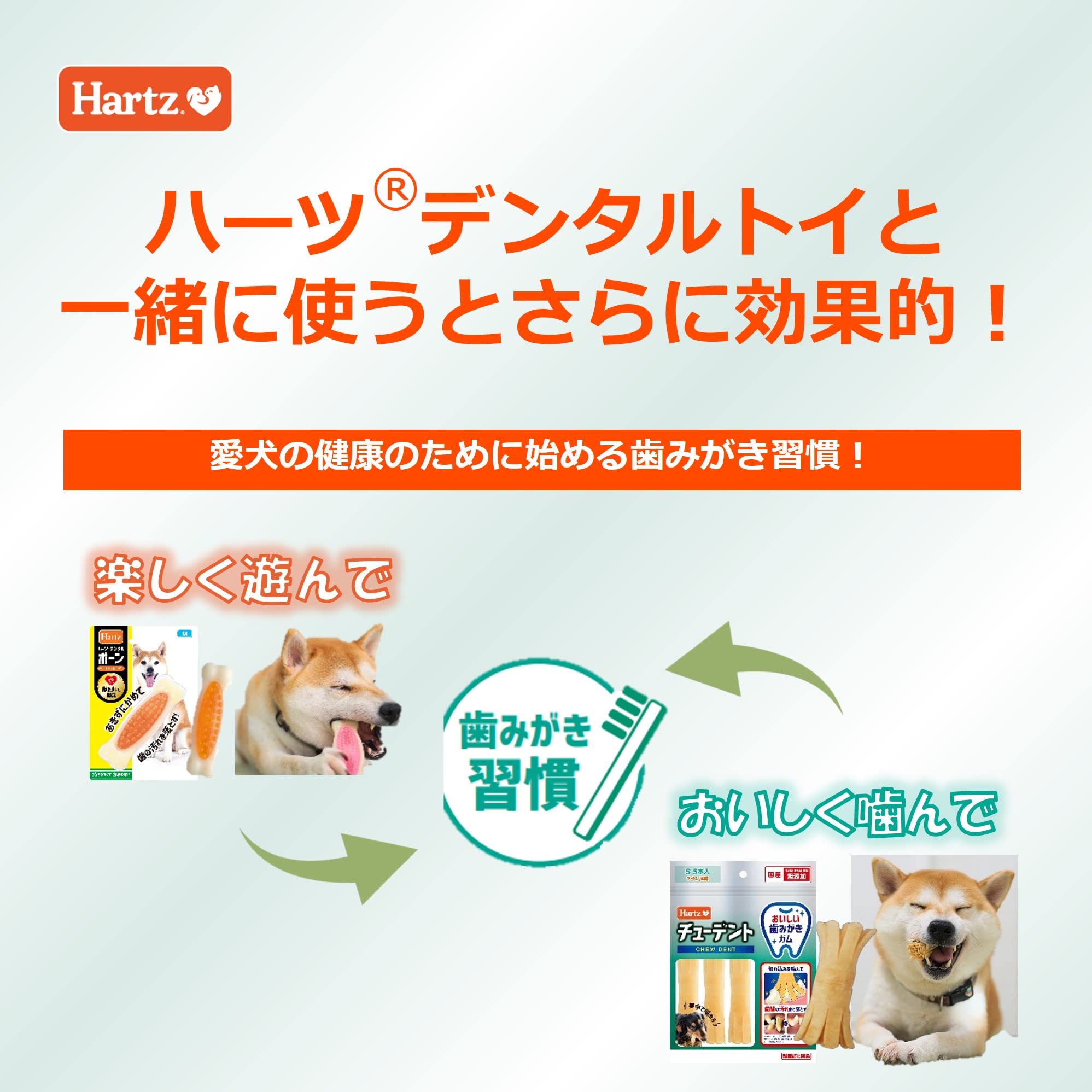 Amazon.co.jp: チューデント 犬用おやつ おいしい歯磨きガム M 4本入