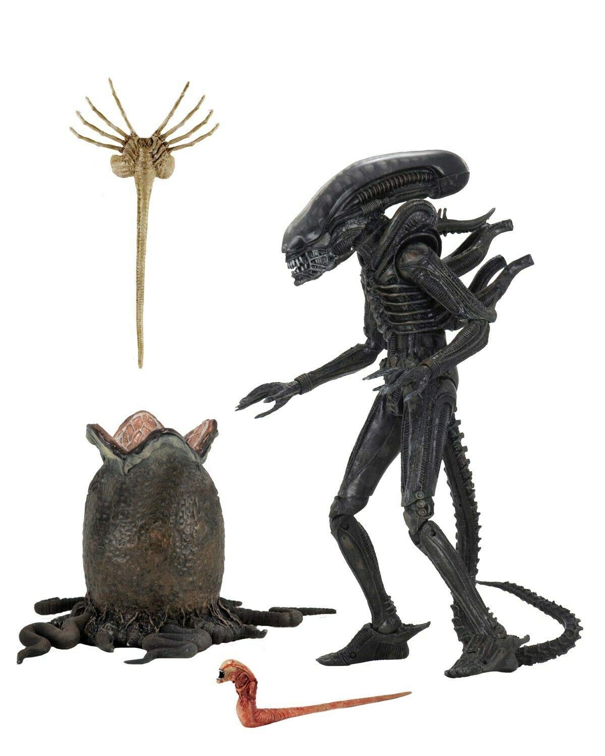 Amazon.com: Alien - 7
