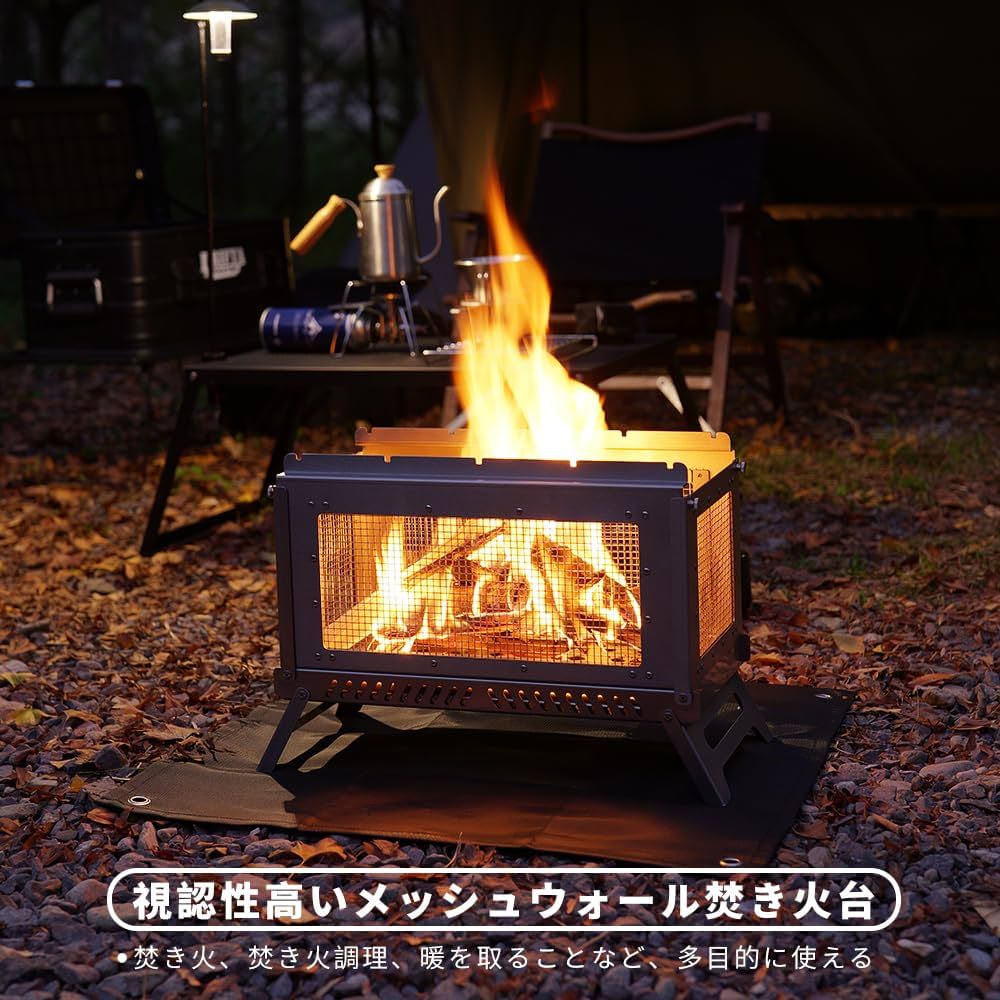 71UCqFTS2FL._AC_UF1000,