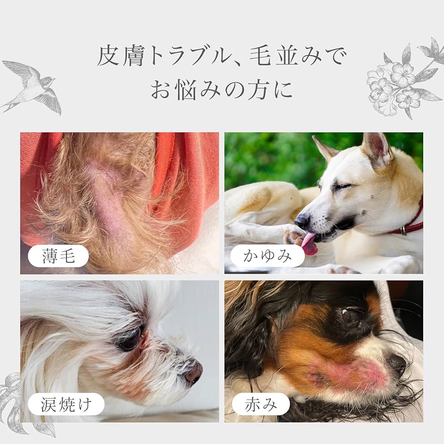 Amazon.co.jp: MIRANEST 犬用 ゼリー サプリメント‐ ミラネストゼリー