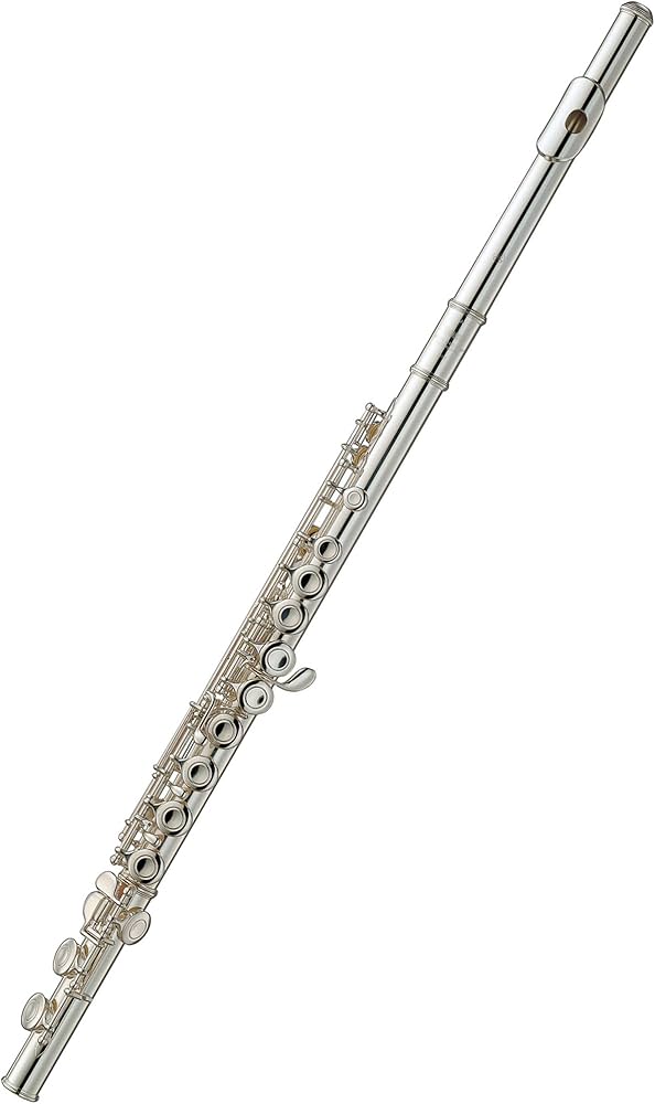 Amazon.co.jp: YAMAHA Flute YFL-211 (Includes an introductory and
