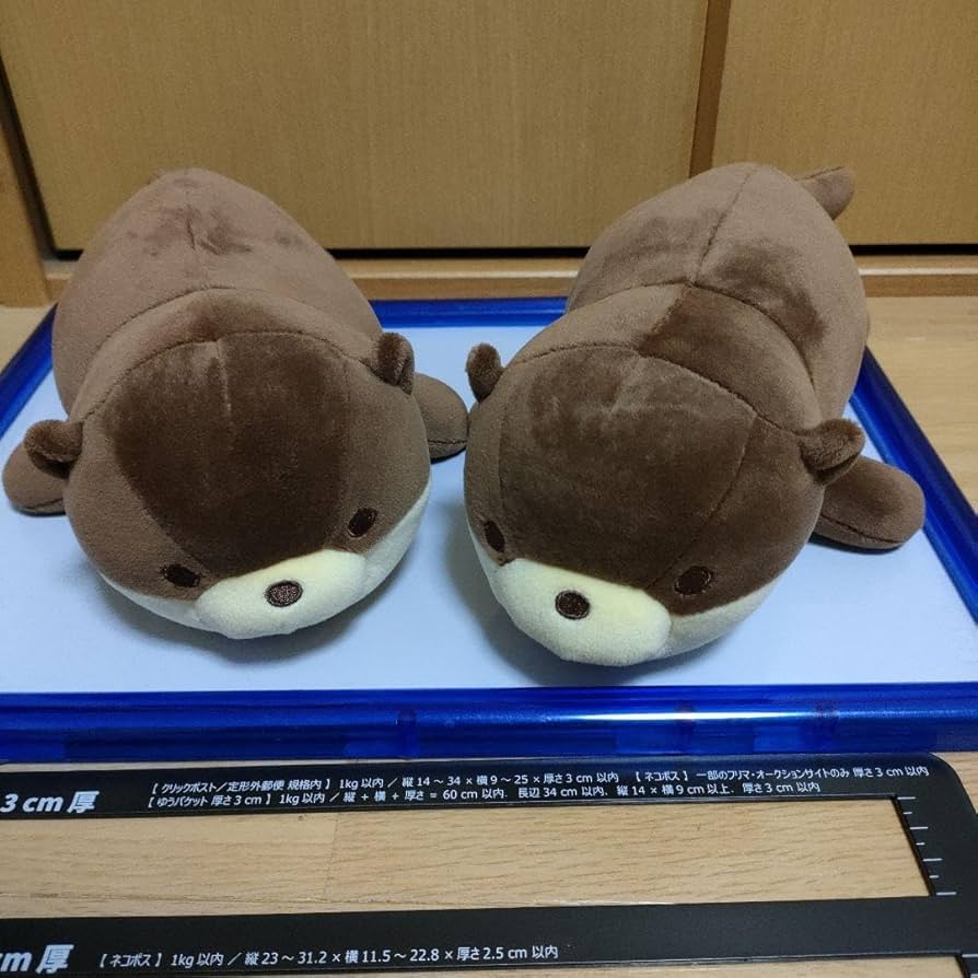 Amazon.co.jp: 可愛いカワウソぬいぐるみ 大洗水族館ぬいぐるみ : おもちゃ