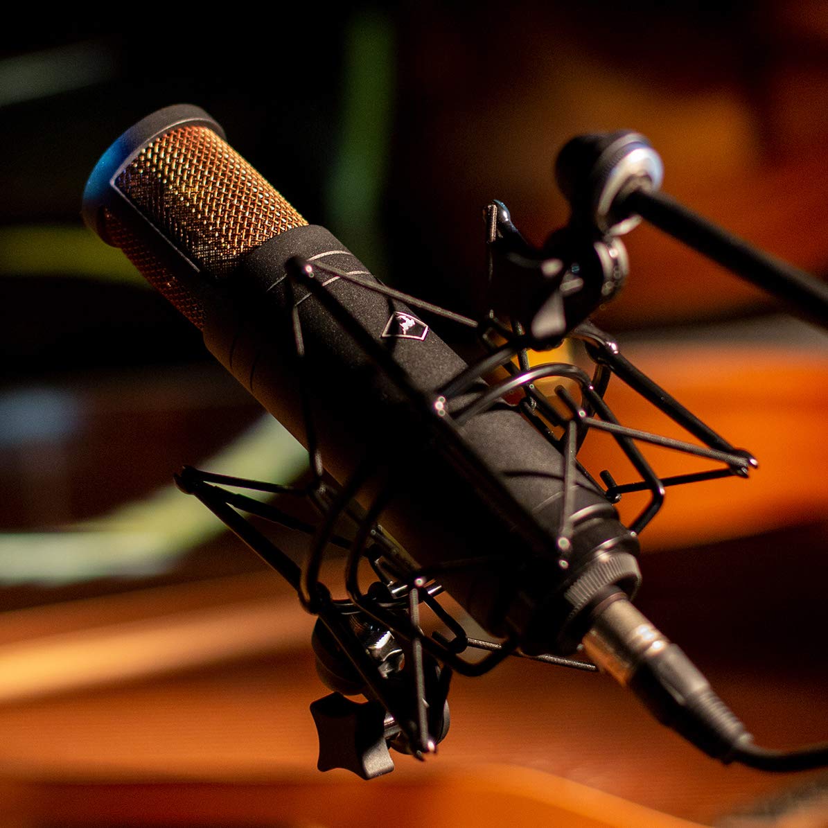 Amazon.co.jp: Antelope Audio EDGE DUO モデリングマイク