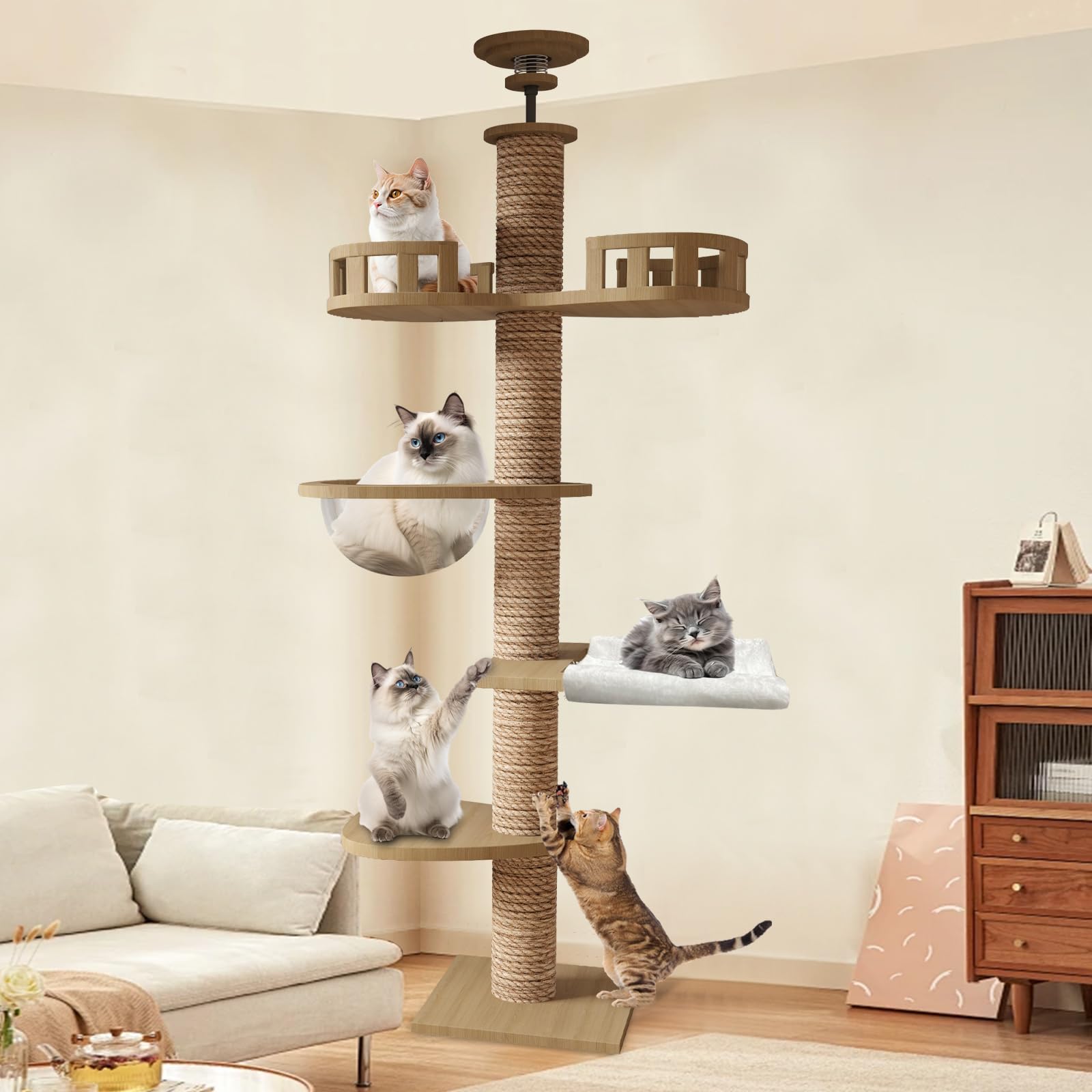 Amazon | CozyMeow キャットタワー 突っ張り 木製 キャットツリー 木