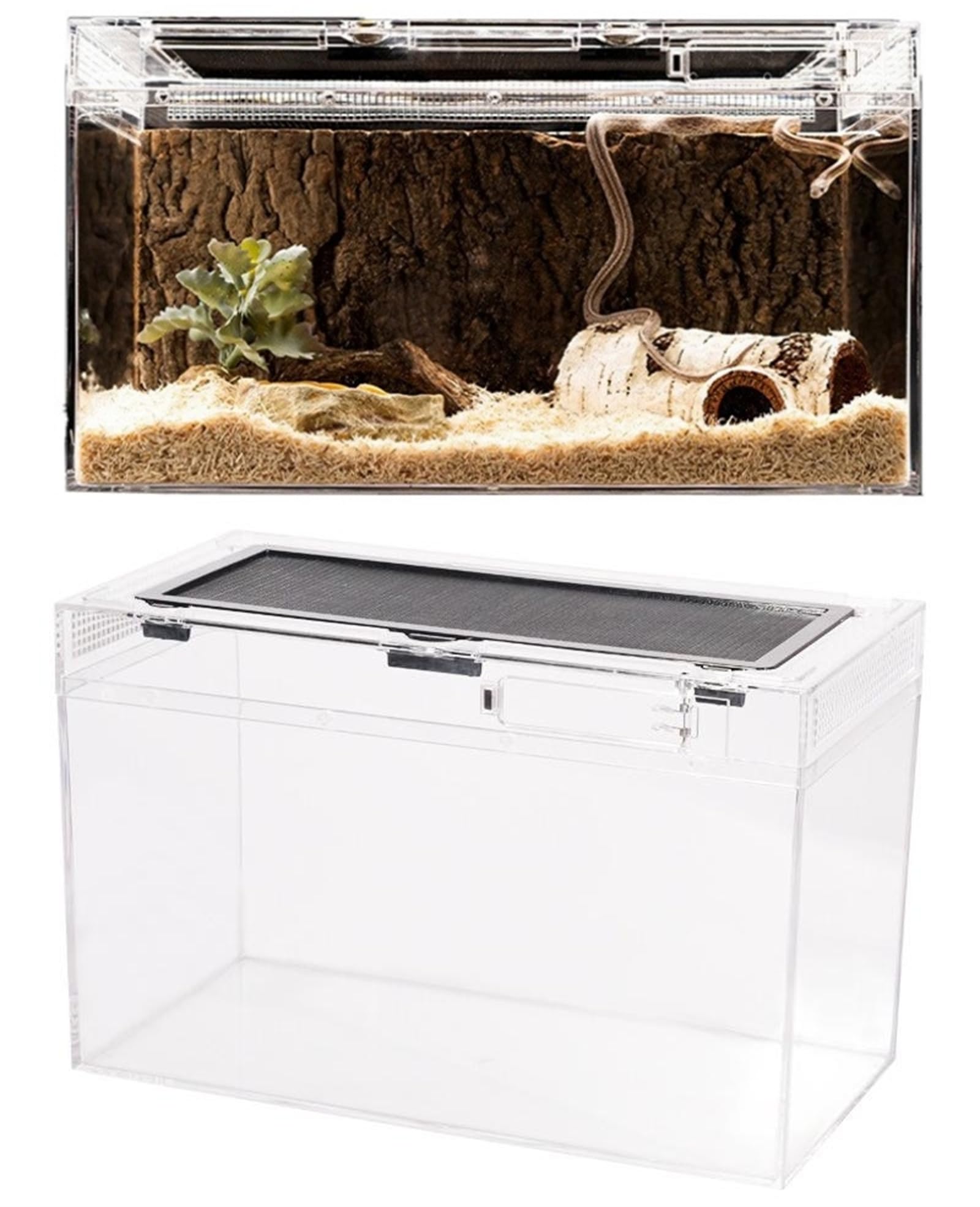 Amazon | レプタイルボックス 爬虫類 飼育ケース 虫かご トカゲ ケージ