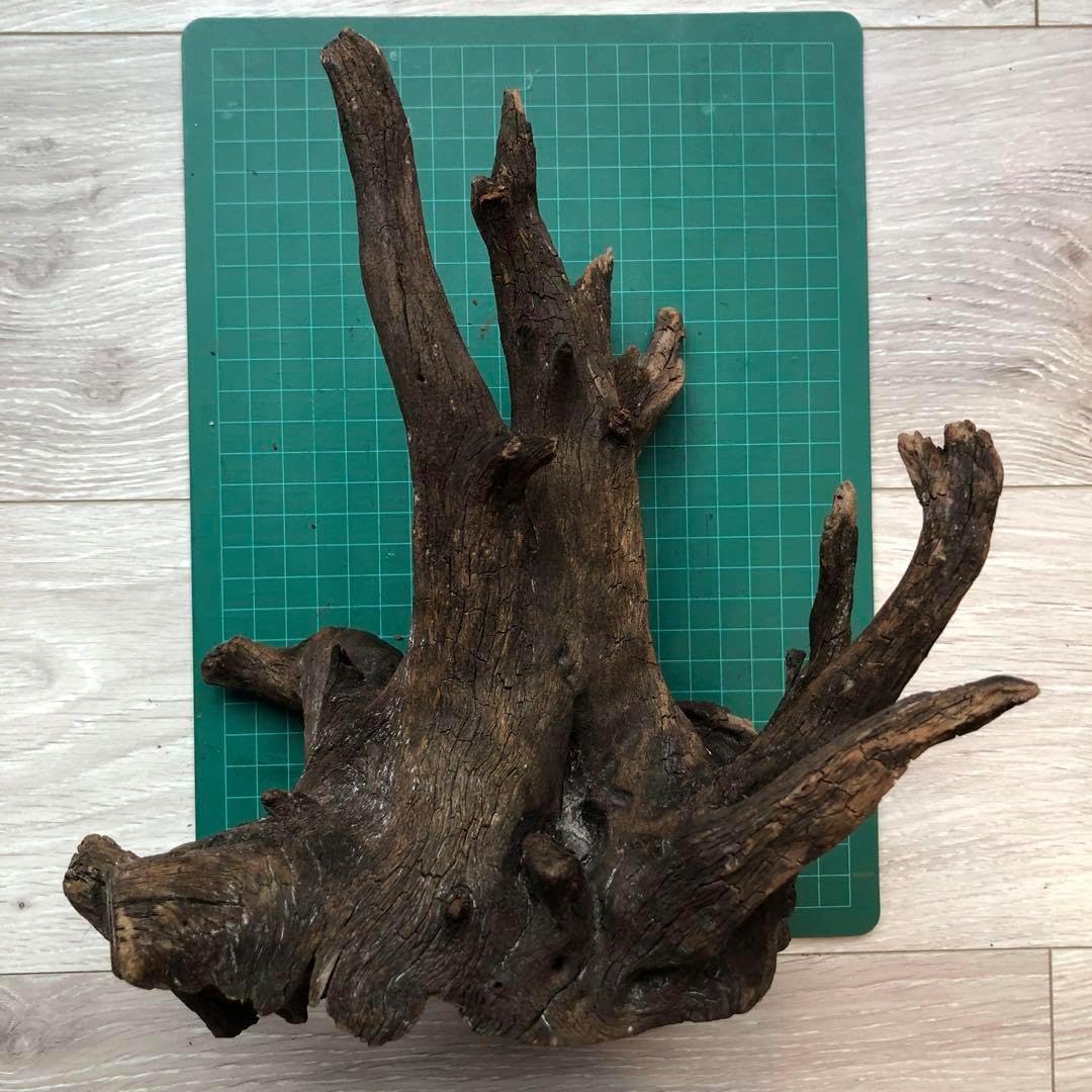 MRW-6798 赤系流木4本セット 90cm水槽用 切株 一点物 アクアリウム MRW