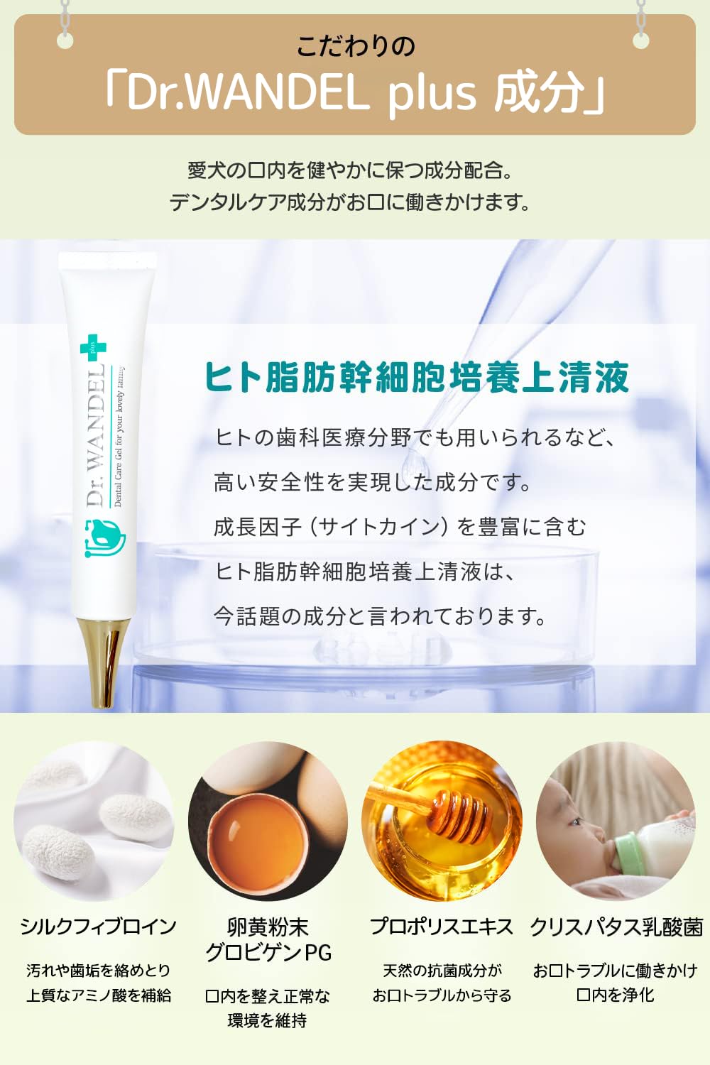 Amazon.co.jp: ワンデルプラス Dr.WANDEL plus 30g1ヵ月分 [ 犬 歯磨き