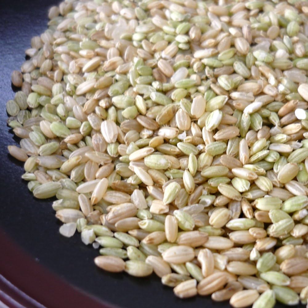 Amazon.co.jp: くず米・青米 10kg／鳥の餌、飼料用、肥料などに : 食品