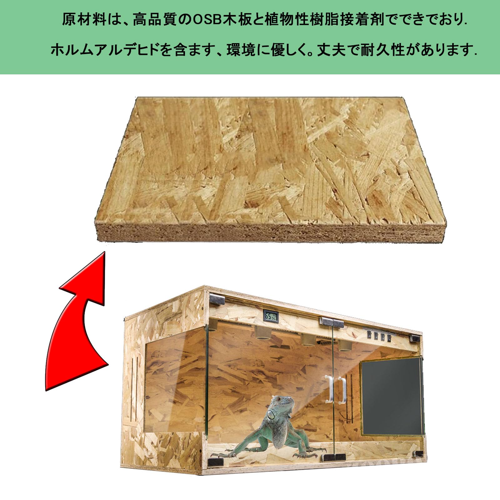 Amazon | Gwufiu 爬虫類ケージ 飼育 ケース 爬虫類 トカゲ 飼育セット