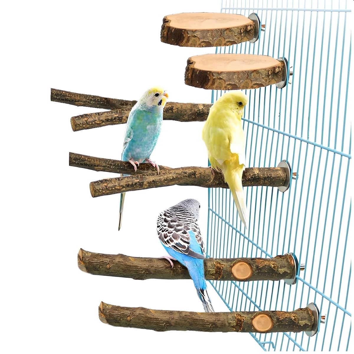 天然木製 鳥用止まり木 高さ約65cm 天然木製 鳥用止まり木 高さ約65cm