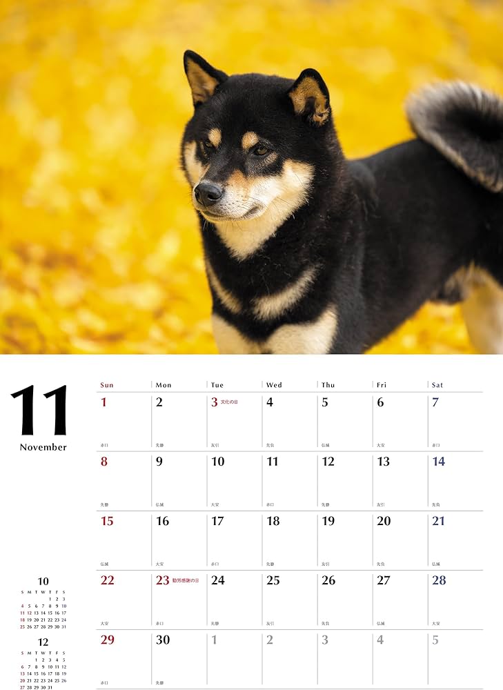 71gEOMD-ciL._AC_UF1000,