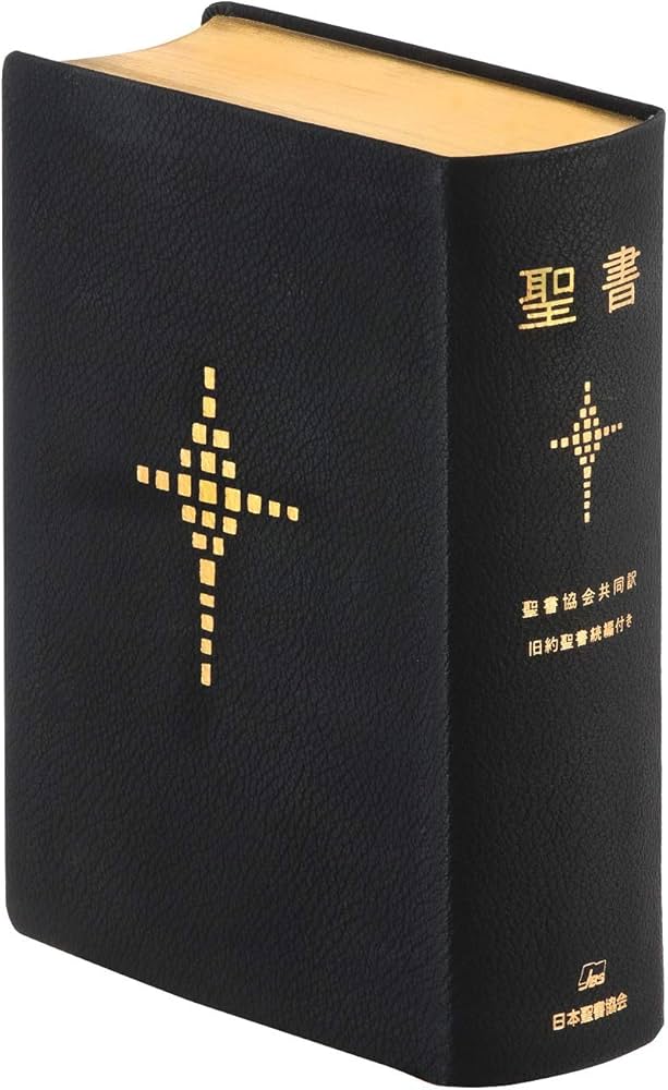 聖書 聖書協会共同訳 旧約聖書続編付き 総革装大型 SI68DC | 日本聖書