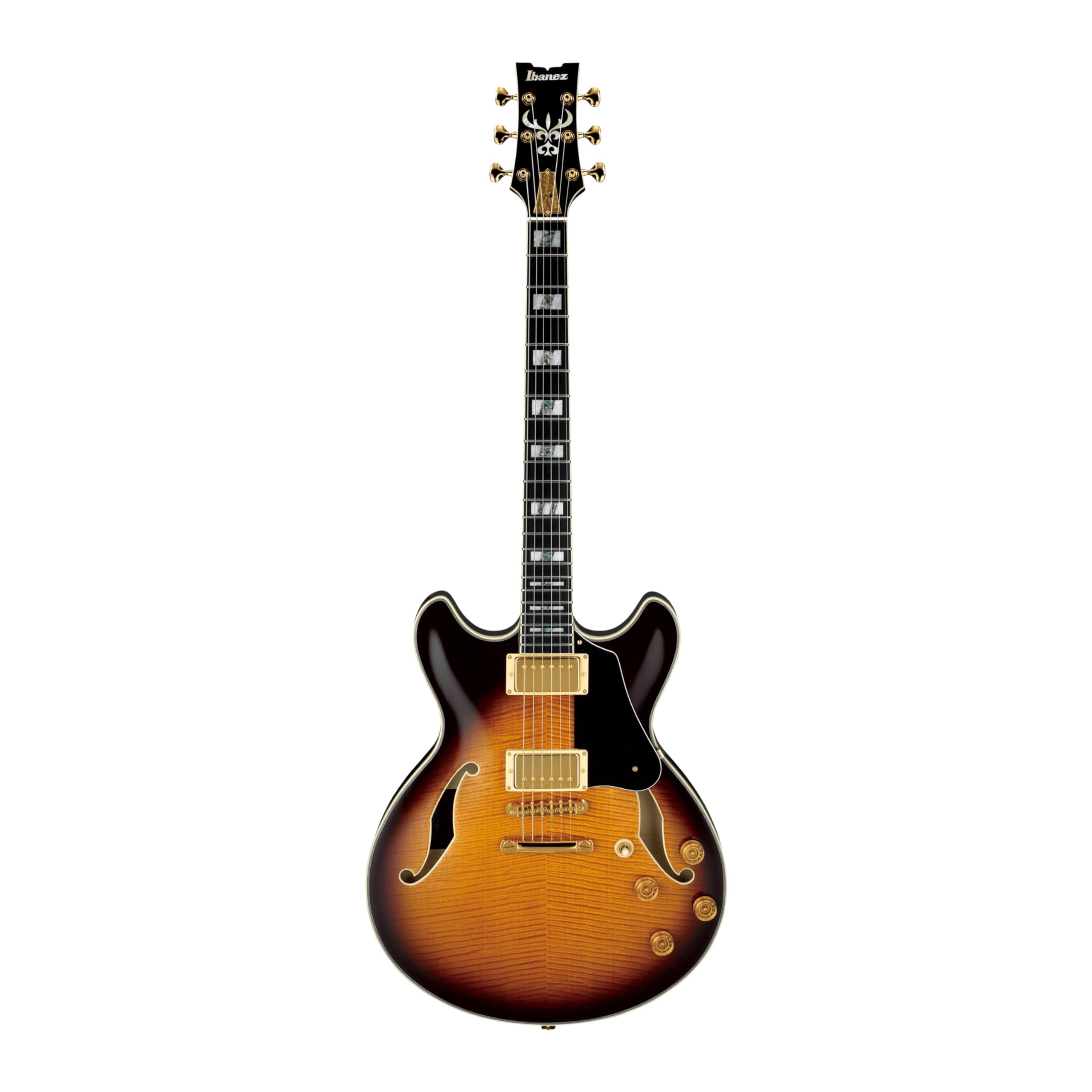 Amazon.com: Ibanez JSM100 John Scofield Signature - Vintage Burst