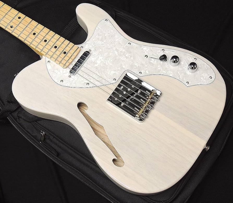 Amazon | FGN FUJIGEN NTE100MAHT WB フジゲン Neo Classic SERIES