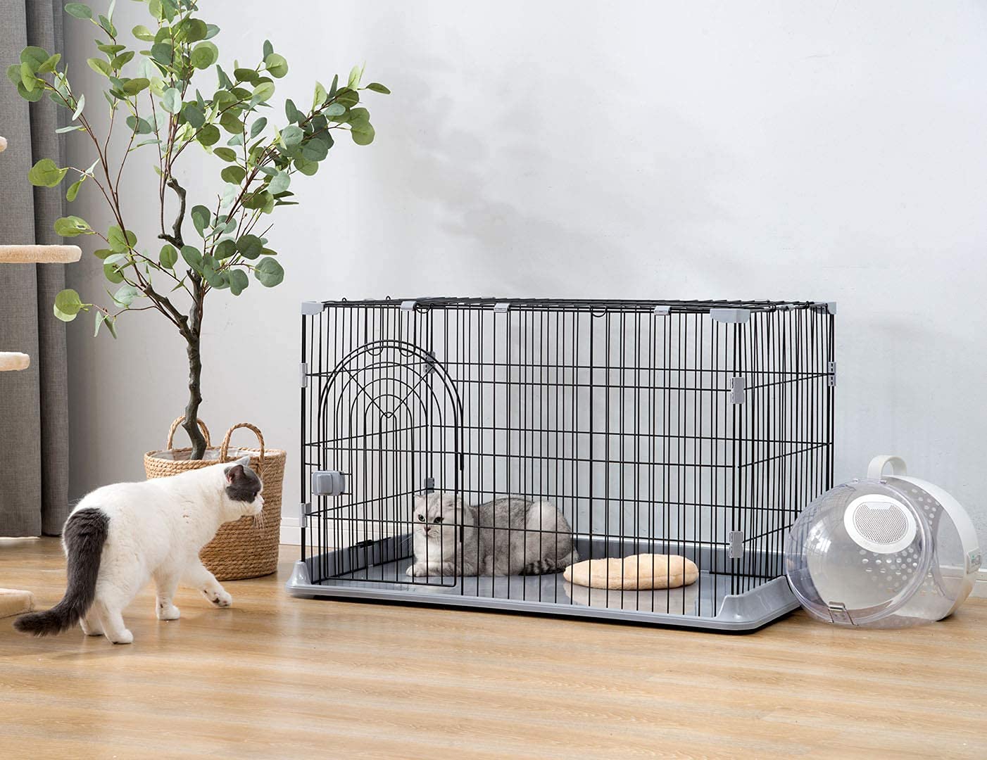 ネコ 603030ブラックカラーケージ ネコ 603030ブラックカラーケージ