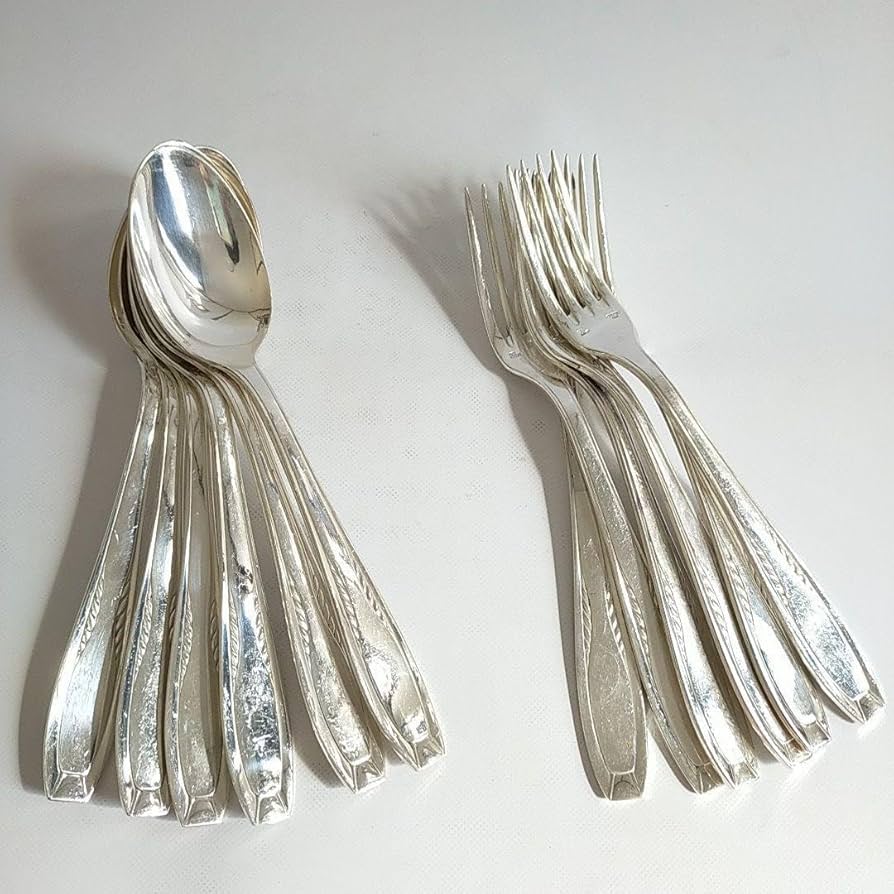 Amazon | Ercuis エルキューイ スプーン フォーク 20.5cm 12本