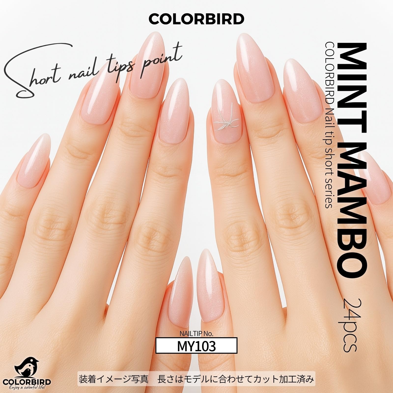 Amazon | COLORBIRD ネイルチップ ショート 24枚 マグネットネイル