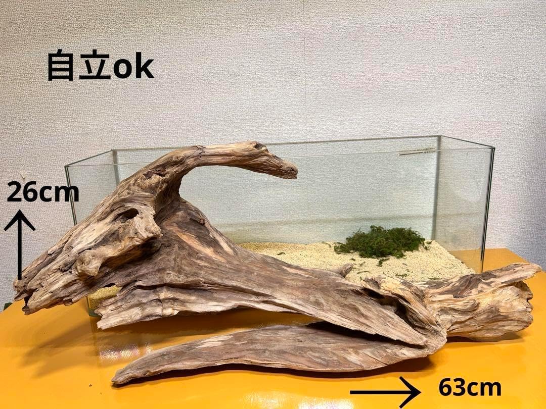 G37 灰汁抜き済み流木 爬虫類シェルター 観葉植物 インテリア G37