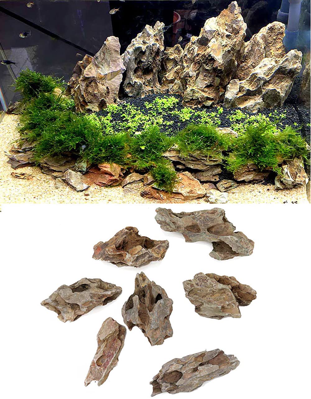 Amazon | 気孔石 黄虎石 蜂炎石 水槽 アクアリウム 花壇 ガーデニング