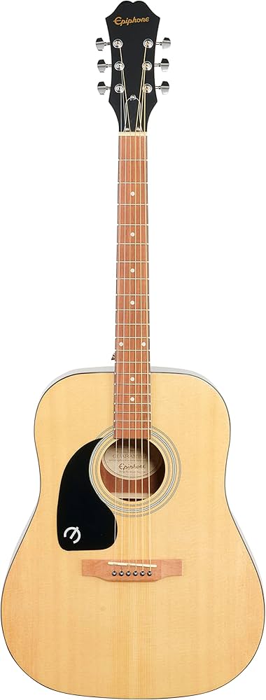 Epiphone Songmaker DR-100 Acoustic Guitar - Left : Amazon.ca
